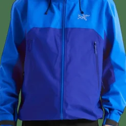 Arc'teryx Men's Beta Ar Jacket Fluidity / Vitality
