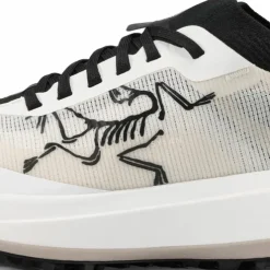Arc'teryx Women's Sylan Pro Arctic Silk/arctic Silk