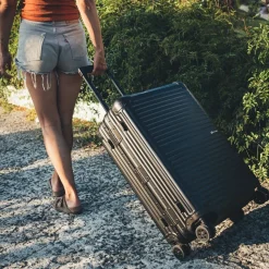 Arctic Tern Alu Trolley M Silver