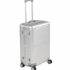 Arctic Tern Alu Trolley M Silver