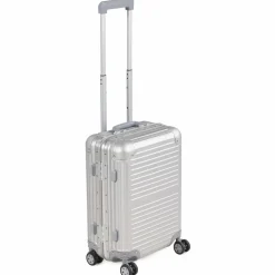 Arctic Tern Alu Trolley S Silver