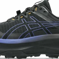Asics Men's Fujisetsu Max GORE-TEX Black/Dark Cobalt