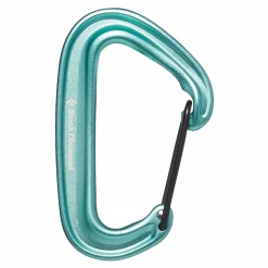 Black Diamond MiniWire Carabiner Minted