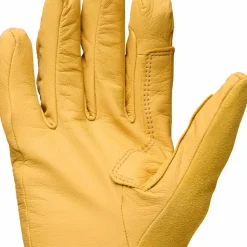 Black Diamond Tour Lt Gloves Beeswax-black