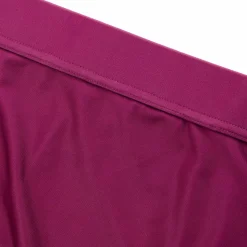ColourWear Women's High Waist Bikini Bottom Purple