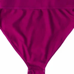 ColourWear Women's High Waist Bikini Bottom Purple