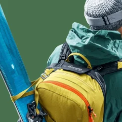 Deuter Alproof Lite 22 Turmeric/Black