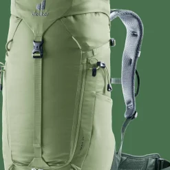 Deuter Men's Trail 24L Grove-ivy