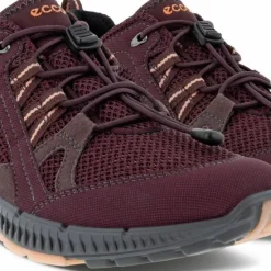 Ecco Women's Terracruise II Gtx Tex Fig/Fig
