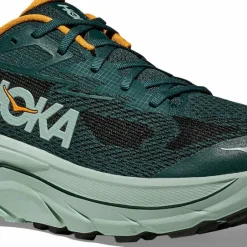 Hoka Men's Challenger 8 Bay Leaf/Sage