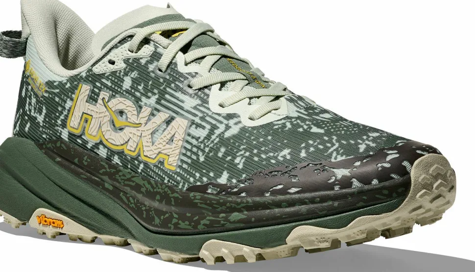 Hoka Men's Speedgoat 6 GORE-TEX Sea Glass/Fern