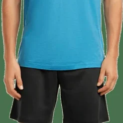 Icebreaker Men's Merino 150 Tech Lite Ss Tee Range Stripes Arctic