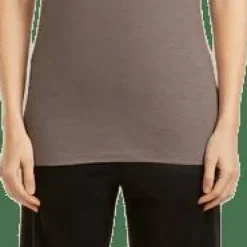 Icebreaker Women's Merino 150 Tech Lite Ss Tee Bird Transit Brown
