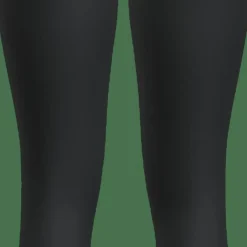 Icebreaker Women's Merino 260 Tech High Rise Leggings Black
