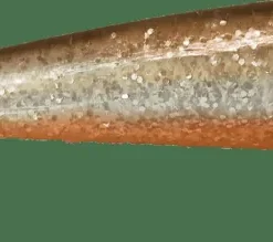 iFish The Demon Shad 7 cm Silver Sally