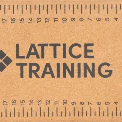 Lattice Training Flex Block Cork