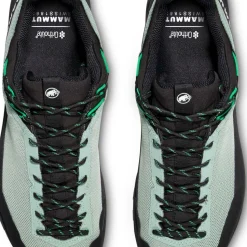 Mammut Men's Alnasca Iv Low Gtx Deep Silver Sage-pinea