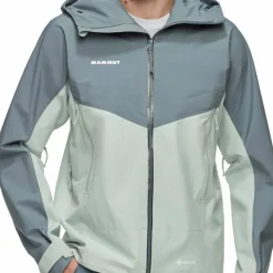 Mammut Men's Crater Iv Hs Hooded Jacket Silver Sage/Strata