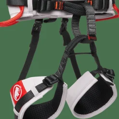 Mammut Ophir Kids 2.0 Harness Alpine Calamint-mammut Red