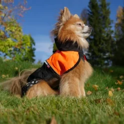Non-stop Dogwear Beta Pro Raincoat Black/Blue