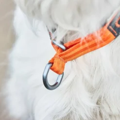 Non-stop Dogwear Cruise Collar Orange