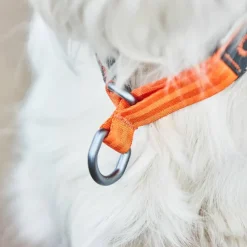 Non-stop Dogwear Cruise Collar Orange