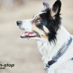 Non-stop Dogwear Cruise Collar Orange