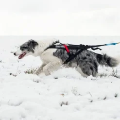 Non-stop Dogwear Freemotion Harness Black
