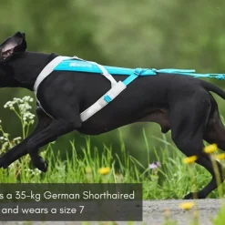 Non-stop Dogwear Freemotion Harness 5.0 Size 8 Blue/Grey
