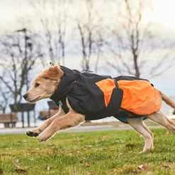 Non-stop Dogwear Glacier Dog Jacket 2.0 Black/Orange