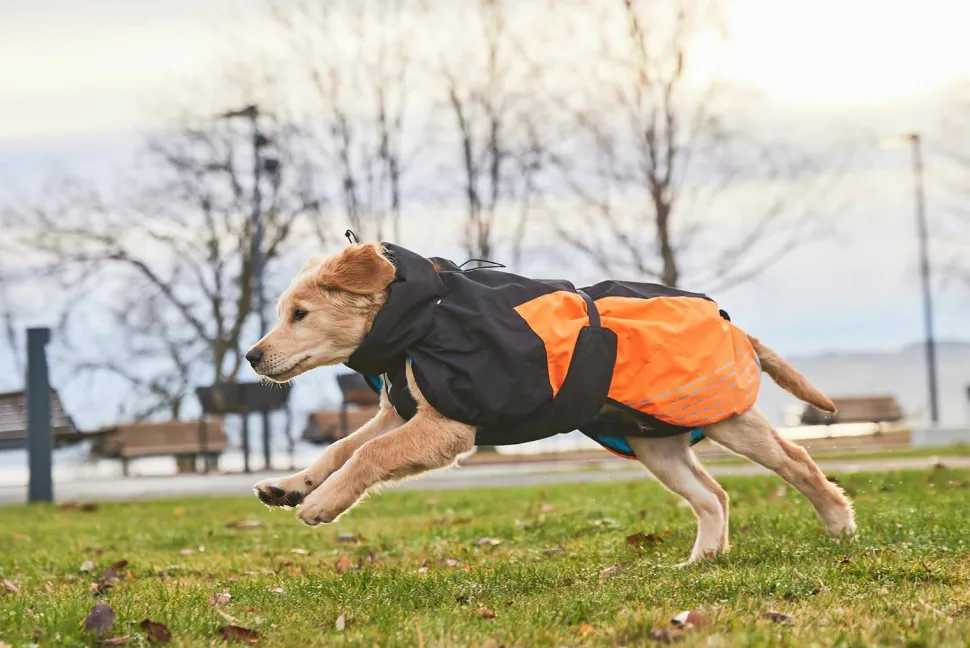 Non-stop Dogwear Glacier Dog Jacket 2.0 Black/Orange