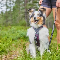 Non-stop Dogwear Line Harness 5.0 Blue