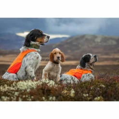 Non-stop Dogwear Protector Cover Orange