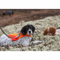 Non-stop Dogwear Protector Cover Orange