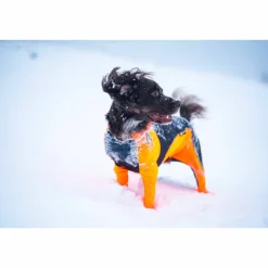 Non-stop Dogwear Protector Snow Male Orange/Black