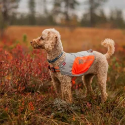 Non-stop Dogwear Reflection Blanket Orange