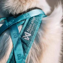 Non-stop Dogwear Rush Harness Teal