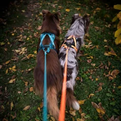 Non-stop Dogwear Rush Harness Teal
