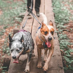 Non-stop Dogwear Touring Double, Wide Screw-Lock Grey