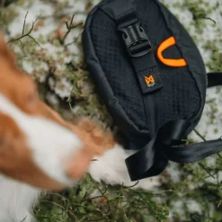 Non-stop Dogwear Trail Quest Fanny Pack Black