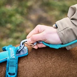Non-stop Dogwear Trekking Rope Leash Orange