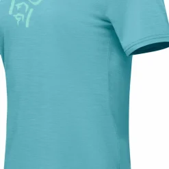 Norrøna Women's Femund Equaliser Merino T- Shirt Brittany Blue