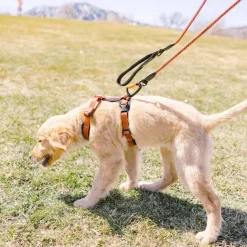 OllyDog Alpine Reflective Comfort Harness Clay