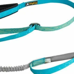 OllyDog Flagstaff Adjustable Spring Leash Sky Bark