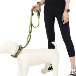 OllyDog Flagstaff Adjustable Leash Cactus