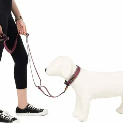 OllyDog Flagstaff Adjustable Leash Rosewood