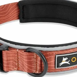 OllyDog Flagstaff Reflective Comfort Collar Clay