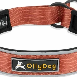 OllyDog Martingale Reflective Comfort Collar Clay