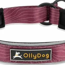 OllyDog Martingale Reflective Comfort Collar Rosewood