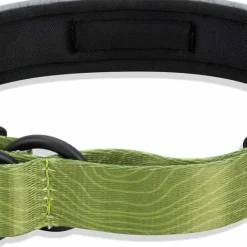 OllyDog Martingale Reflective Comfort Collar Cactus